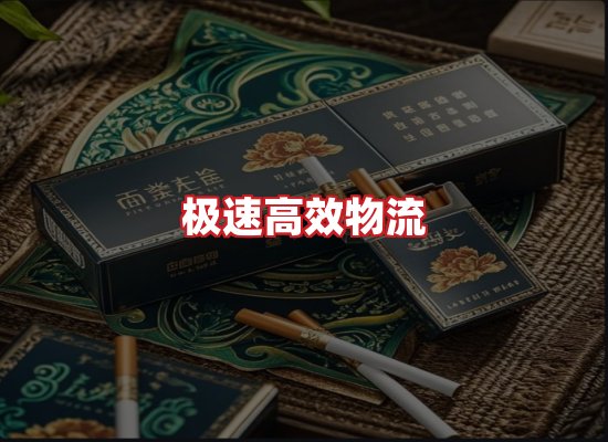 专业团队